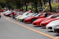 中之島エリアには１００台のフェラーリを展示