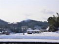 ＪＵ広島ＡＡのある北広島町では記録的な積雪に