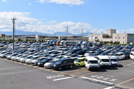 タマ不足の中、ディーラー販売店を中心に良質車が多数集まった