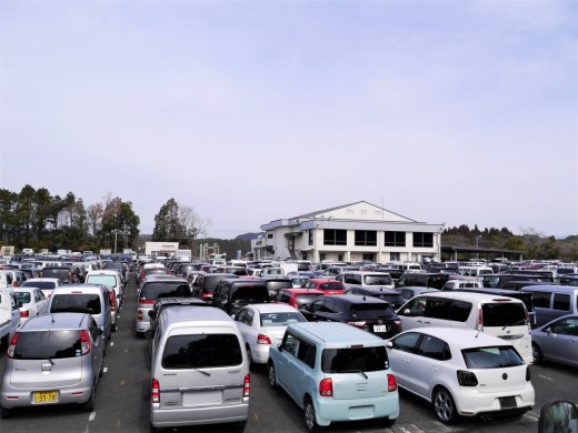 多くの出品車が集まるＪＵ鹿児島