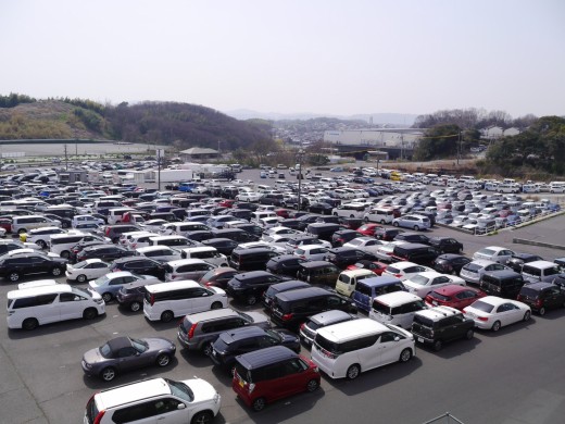 ヤード内には出品車が所狭しと並んだ