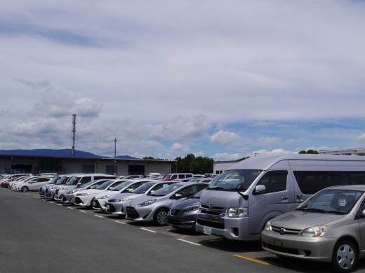 出品ヤードには良質車が多数並んだ