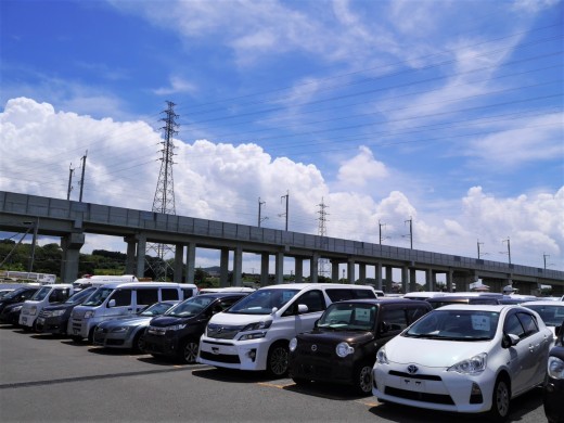 出品ヤードには良質車が多数並んだ