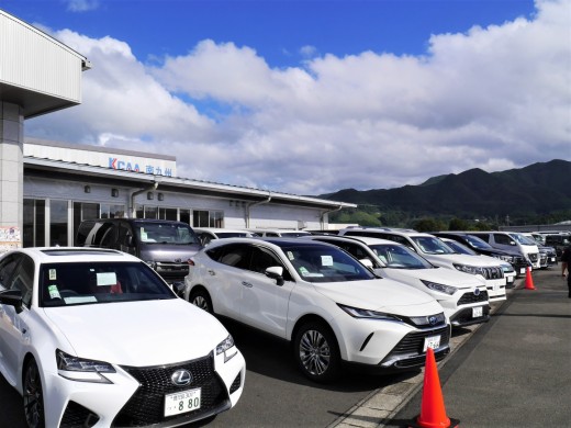 高年式・高額車が多数並んだ