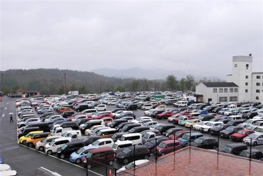 出品ヤードにはたくさんの出品車