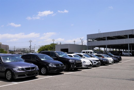 輸入車の出品も底堅い