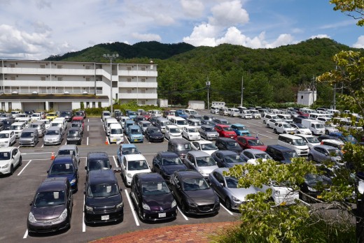 出品ヤードには良質車がたくさん集まった