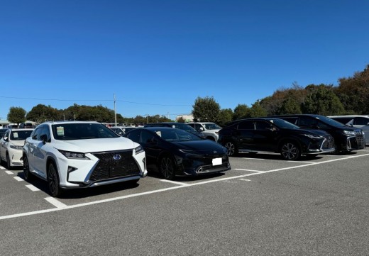 初出品車をはじめ良質車が並ぶ