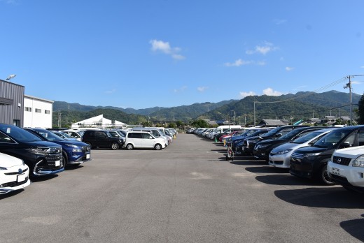 高額車から取引しやすい低額車まで幅広く出品