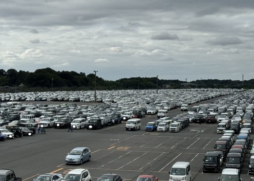 ヤードを埋め尽くす出品車