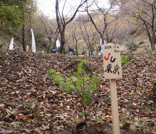 植樹祭イベントの様子