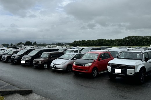 多数の出品車が並ぶ