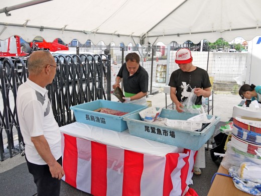 釣った魚は手際よく血抜きと保存処理がされていた