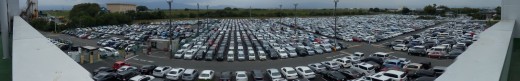 ヤードを埋め尽くす出品車（ほとんどスペース無く並べられた）