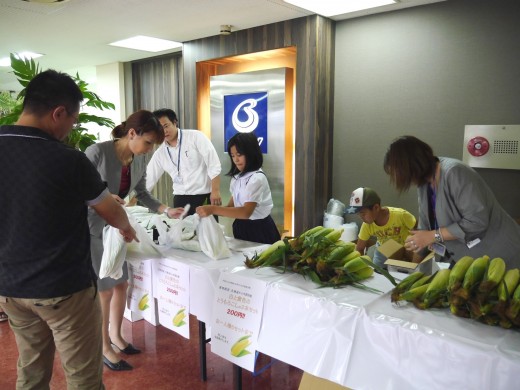 北海道産のトウモロコシを販売