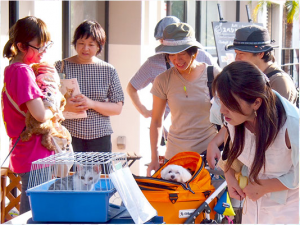 これまでのイベントの様子