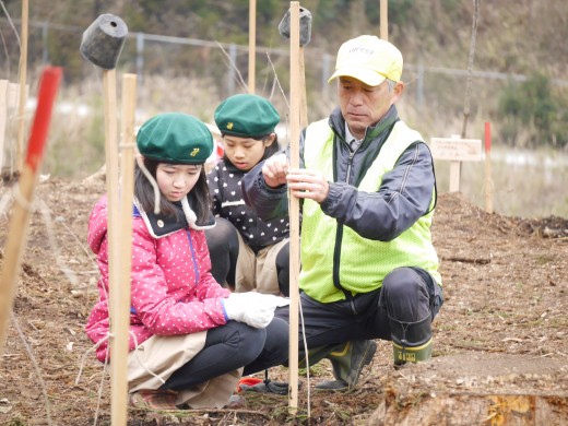 １本１本丁寧に植樹し、添え木で支えた