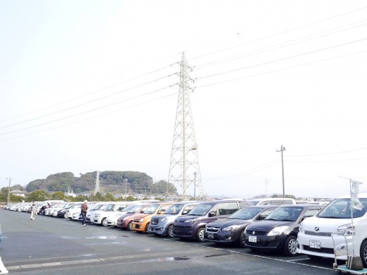 多数の良質車が集まり、活気あるセリ