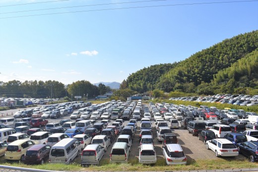 今年度最高の１６７９台を集荷