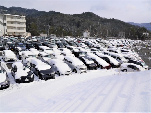 大雪により出品ヤードには積雪