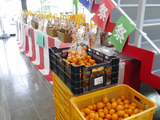 地元の道の駅から特産物