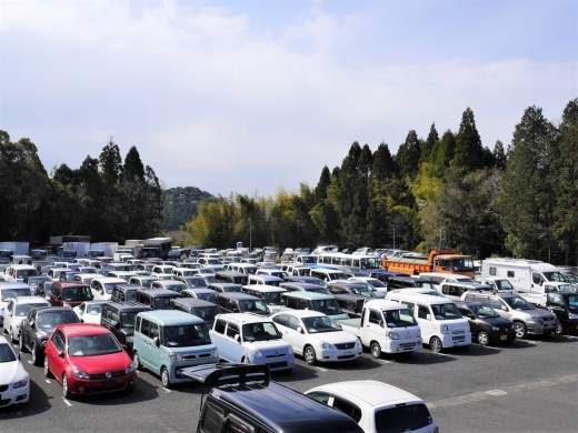 バラエティ豊かな出品車が並ぶ