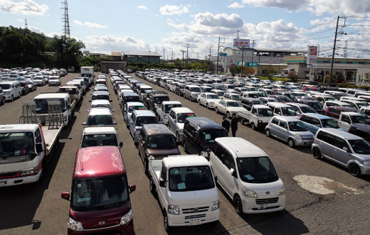 会場に多数の出品車が並ぶ