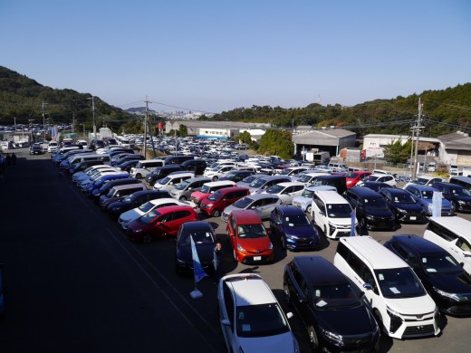 小売りに適した良質車が多数集まった