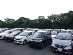 多くの小売りダマが集まり活気溢れるＡＡ開催