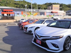 良質車が多数並ぶ展示場