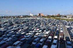 厳しい市場環境の中、４０００台を超える車両を集荷