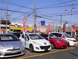 通りを挟んだ２カ所の展示場に良質車が多数並ぶ