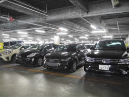 輸入車が多い神戸の市場を反映し輸入車も多く集まる