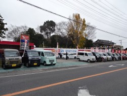 はす向かいにはアリスティーポケット店