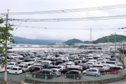 会場前のヤードを埋める出品車