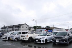 小売り向け良質車がたくさん集まる