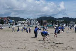 海の清掃活動の様子