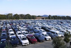 小売り向けの良質車が多数集まる会場