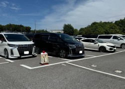 良質車が並ぶ