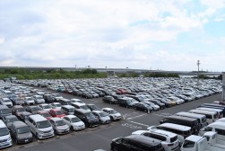 新鮮な車両が数多く集まった
