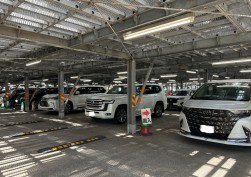 良質車が並ぶ出品車ヤード