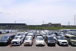 出品ヤードには良質車が多く集まった