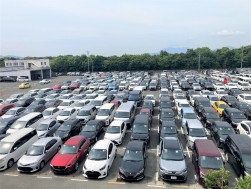 出品ヤードには小売り向けの良質車が並んだ