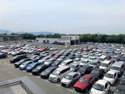 出品ヤードには小売り向けの良質車が並んだ