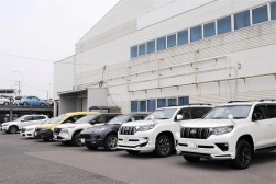 良質車が多く集まる