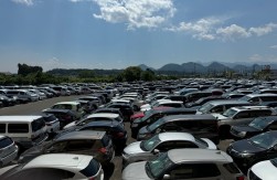多数の出品車が並ぶ