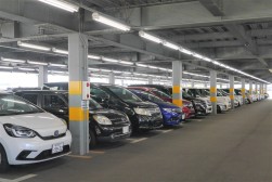 ホンダ販社から出品された良質車が並ぶ