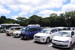 良質車が多数集まった