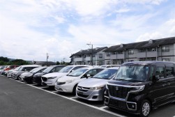出品ヤードには良質車が多数集まった