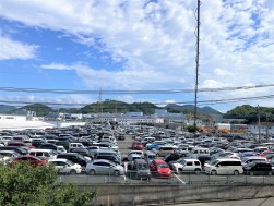 ７月１９日の青年部・ＪＵ九州合同サマーＡＡには２５００台以上の出品